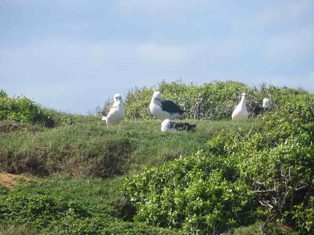 Kaena Point Hike guide featured by top Hawaii blogger, Hawaii Travel with Kids