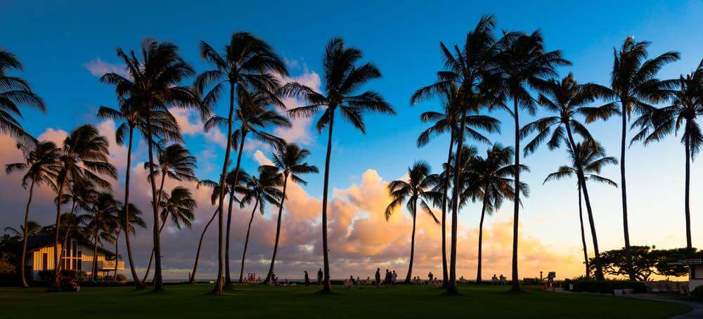 You'll love these Hawaiian beach sunset Instagram captions for your next trip to Hawaii. Image of Beautiful sunset at a tropical beach in Kauai, Hawaii Islands.