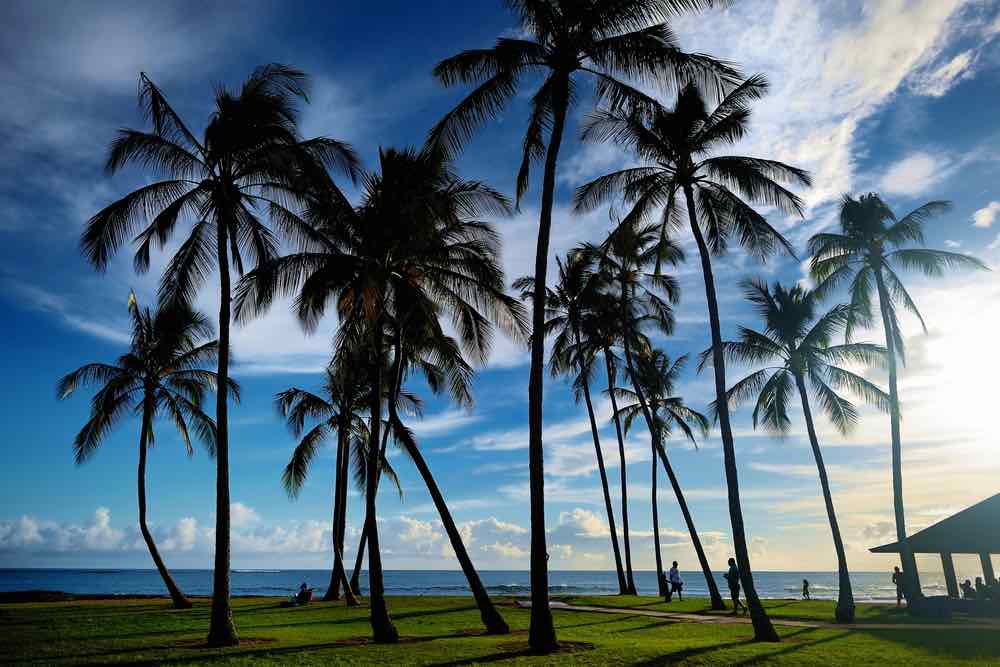 One of the coolest facts about Hawaii for kids is that no building on Kauai can be taller than a palm tree. Image of Sunrise with palm trees in Salt Pond Beach Park on Kauai, Hawaii