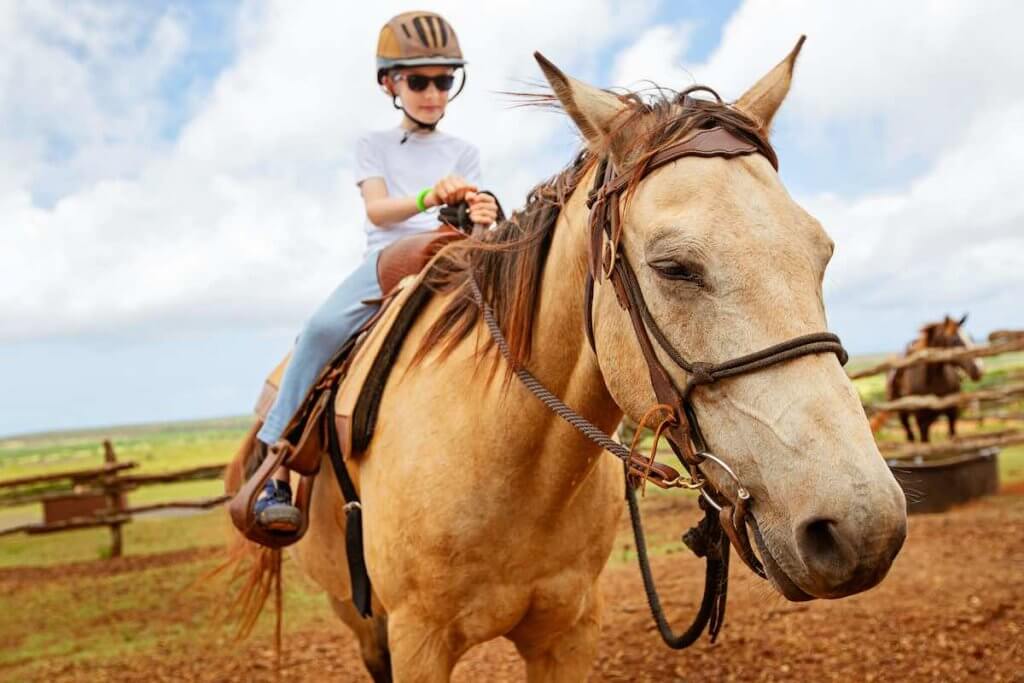 Horseback riding is one of the best activities in Oahu for kids. Image of a boy wearing a helmet on a horse.