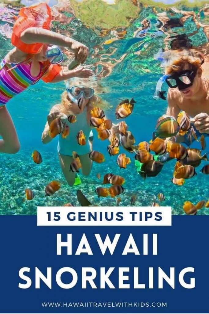 Image of a family snorkeling in Hawaii.