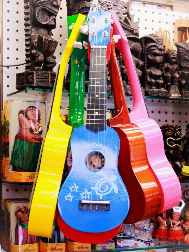 Hawaiian Souvenirs Web Story