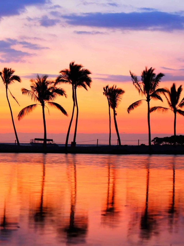 What NOT to do in Hawaii Web Story