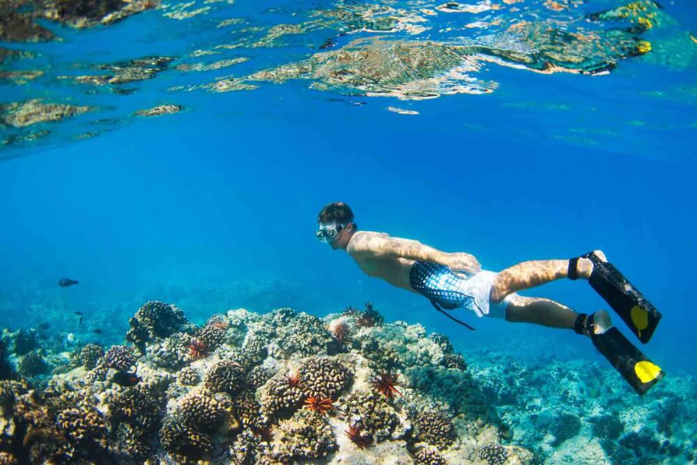 Find out the best snorkeling in Hawaii tips by top Hawaii blog Hawaii Travel with Kids. Image of Young Man Snorkeling Underwater over Tropical Reef in Hawaii