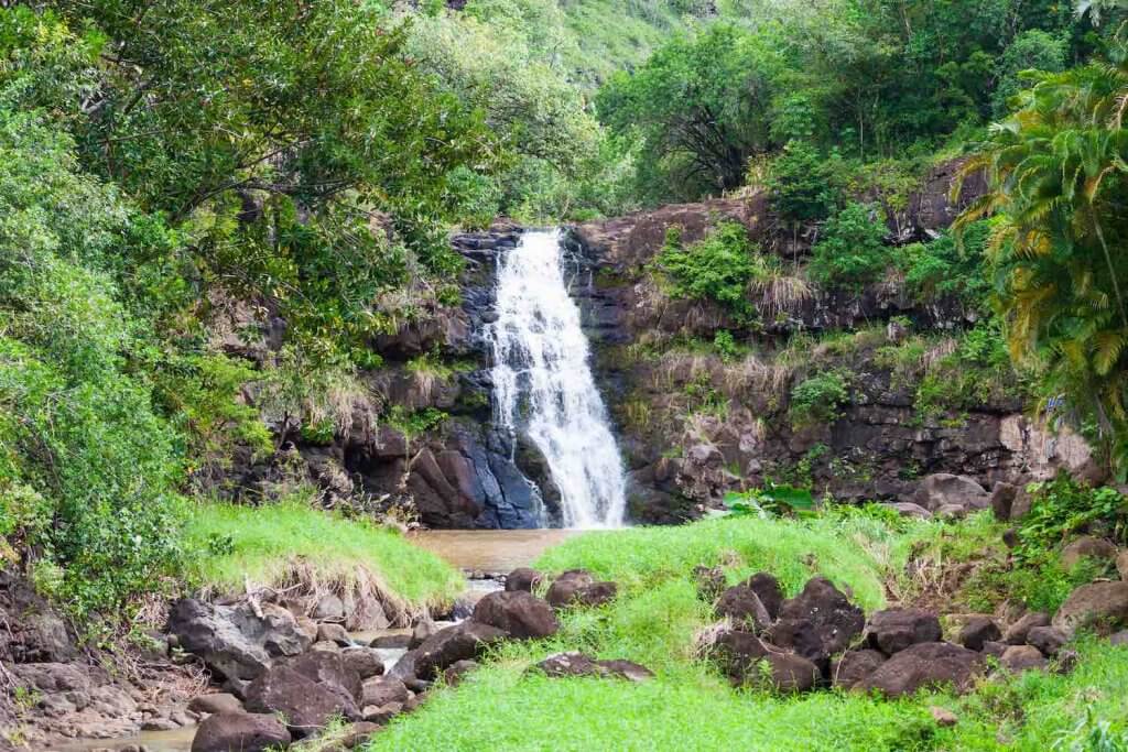 Head up to North Shore Oahu to explore Waimea Falls. Image of a waterfall surrounded by greenery.