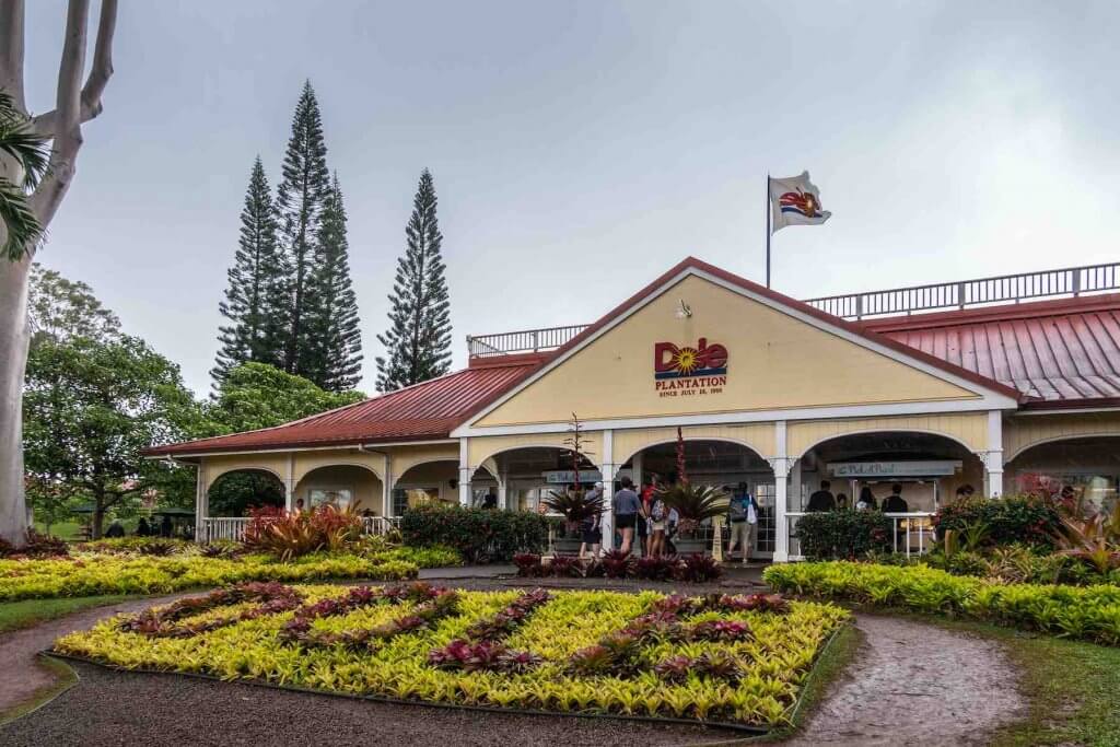 The Dole Plantation is one of the top tourist attractions in Hawaii. Image of the front of the Dole Plantation visitors center with shrubs in front spelling out the word DOLE.