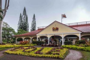 Find out how to visit the Dole Pineapple Plantation in Hawaii by top Hawaii blog Hawaii Travel with Kids. Image of the Dole Plantation on Oahu.
