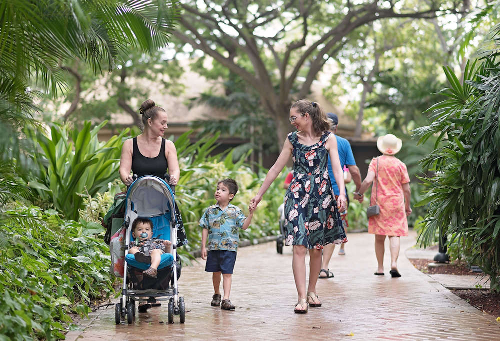 Image of a grandma pushing a toddler in a stroller next to a preschooler and a mom in Hawaii