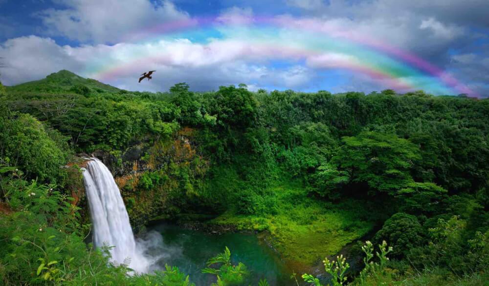 Find out 50 Hawaii facts by top Hawaii blog Hawaii Travel with Kids. Image of a waterfall in Kauai with a big rainbow