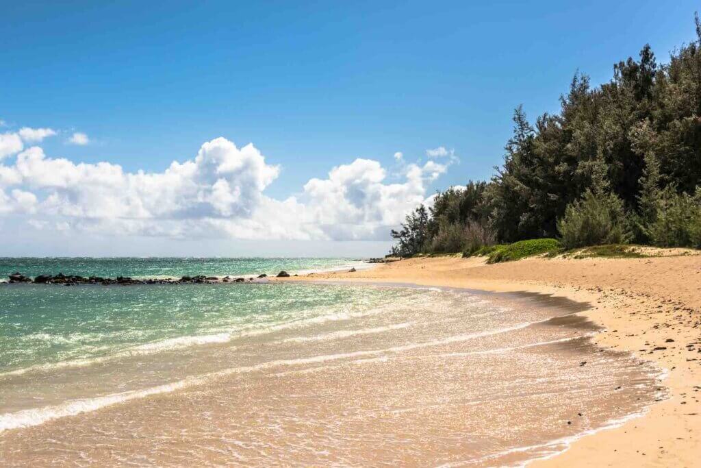 One of the best cheap things to do on Maui is head to the beach! Image of Kanaha Beach Park with a sandy beach, green water and trees in the background.