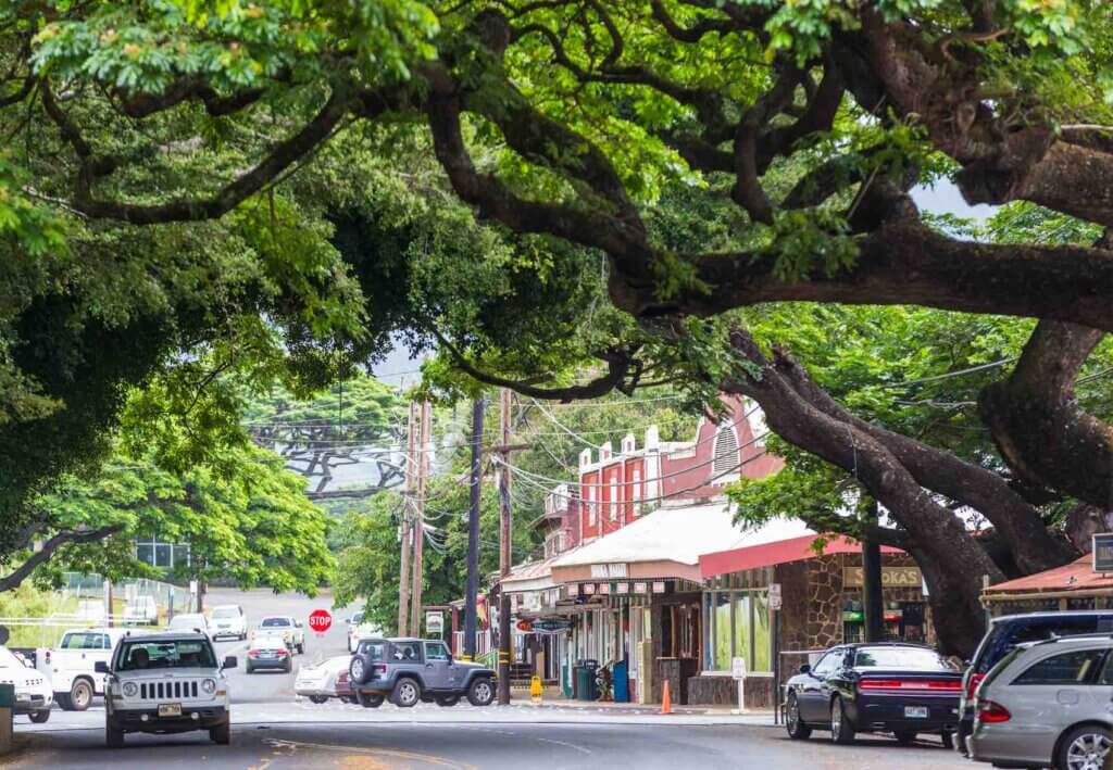 Walking around Old Koloa Town is one of the best things to do on Kauai on a budget Image of the street and storefronts in Koloa, Kauai.