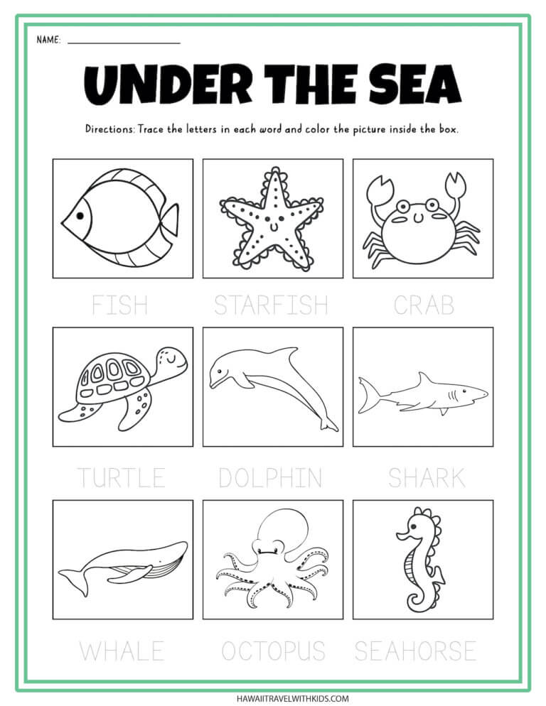 Sea Animal Worksheets and Coloring Pages Hawaii Travel with Kids