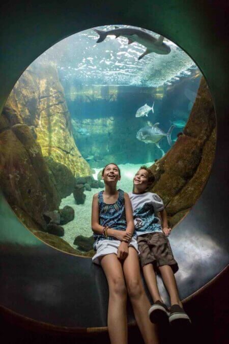 38 Best Hawaii Tourist Attractions for Families (2023)