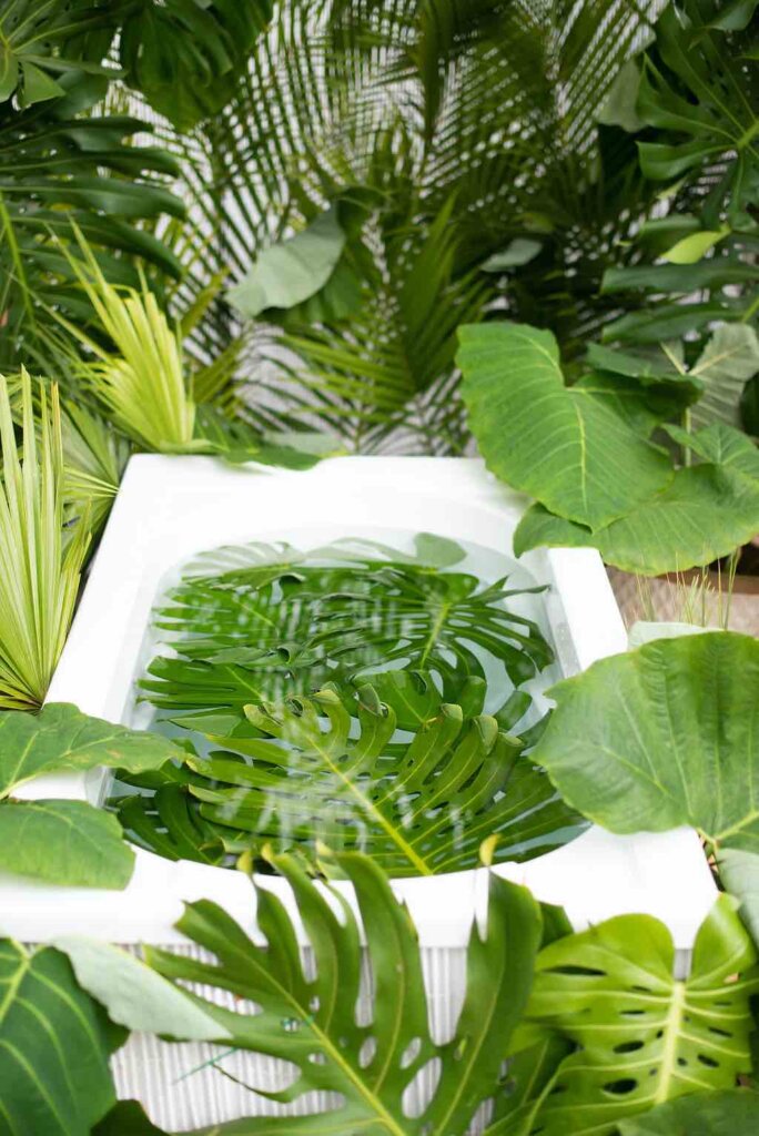 This is the Kauai Jungle Tub set. Image of a white bathtub outdoors filled with monstera leaves and surrounded by green plants.