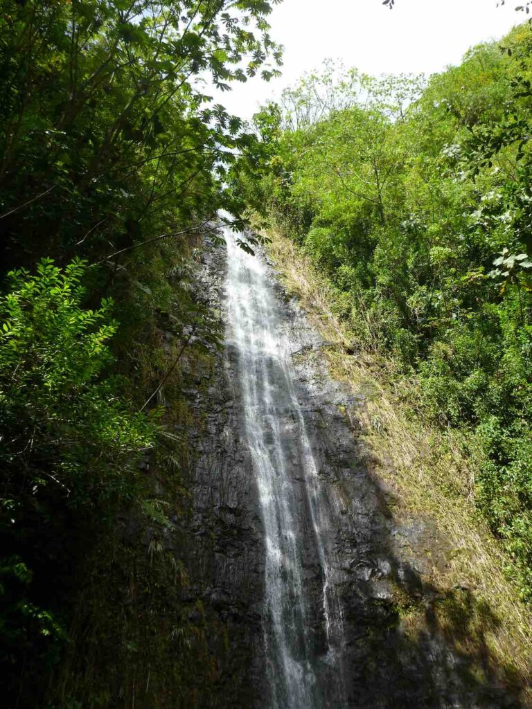 Manoa Falls is a kid friendly hike on Oahu. Image of water runs down Manoa Falls waterfall surrounded by trees on Oahu, Hawaii.