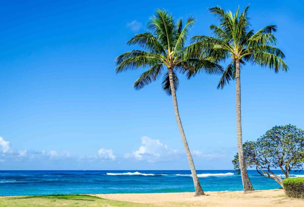 Find out the best Kauai beaches for families recommended by top Hawaii blog Hawaii Travel with Kids. Image of coconut palm trees on sandy Poipu Beach on Kauai.