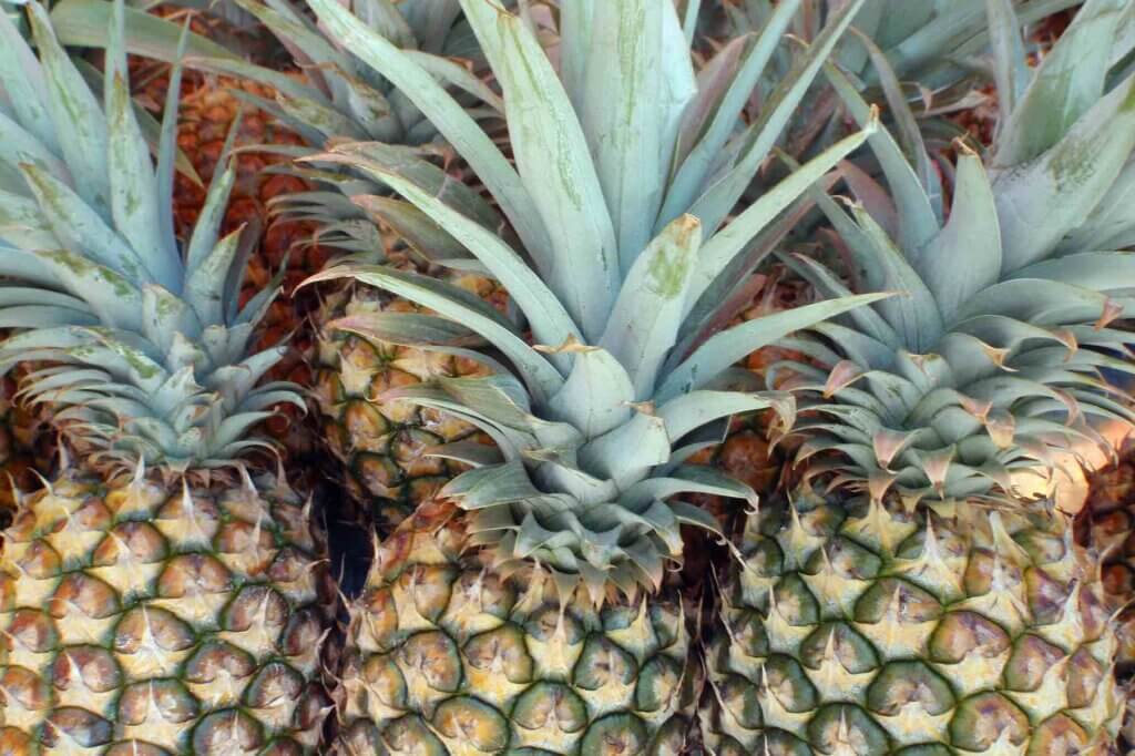 The Hanalei Farmers Market is one of the best farmers markets on Kauai. Image of a bunch of fresh pineapples.