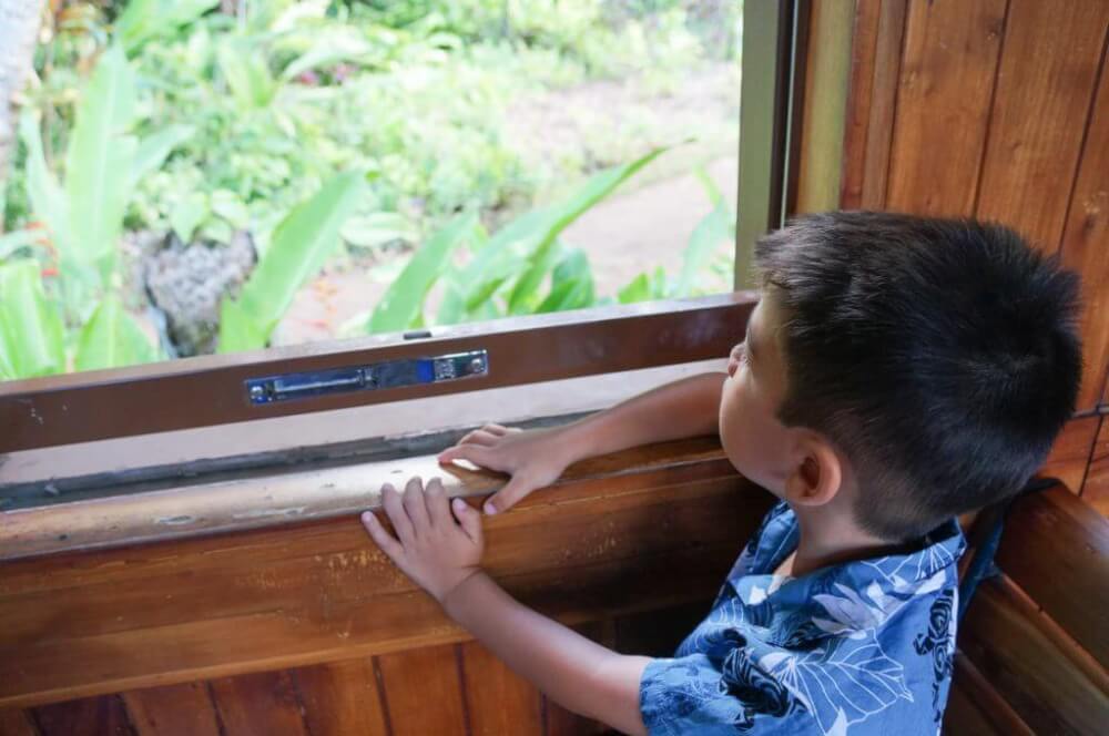 Looking for fun things to do on Kauai with kids? Check out the Kilohana Plantation train ride on Kauai! Image of a boy wearing an Aloha shirt looking out the window of a train.