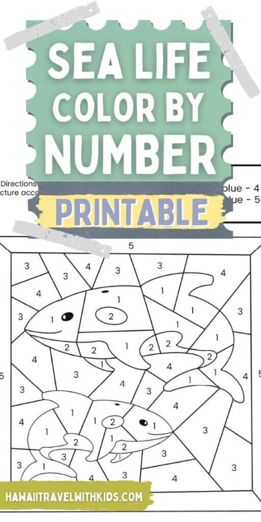 Sea Turtle Color By Number