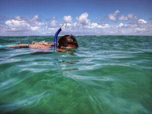 Find out the best Kauai snorkel tours recommended by top Hawaii blog Hawaii Travel with Kids. Image of a man snorkeling at Tunnels Beach on Kauai