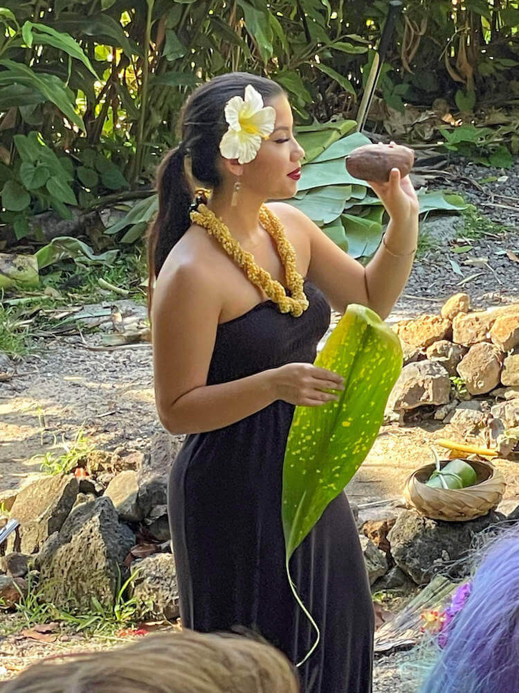 Learn how to roast a sweet potato in a Hawaiian imu oven. Image of a woman holding a sweet potato and a ti leaf.