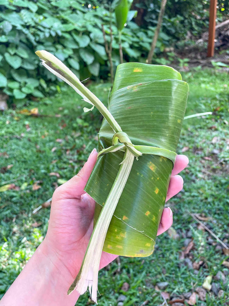 Part of the hands on activities at Experience Nutridge Luau on Oahu is roasting sweet potatoes. Image of a woman holding a sweet potato wrapped in a ti leaf.