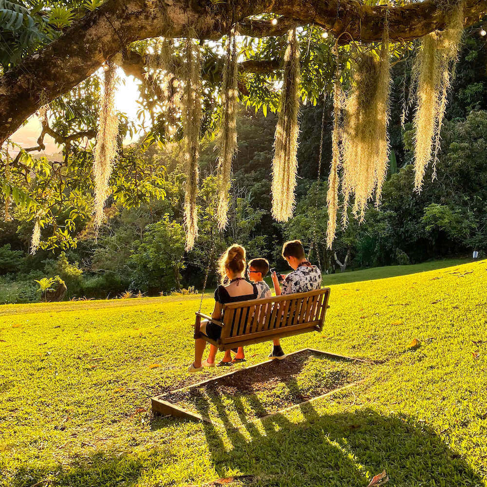 Nutridge Estates is home to the first macadamia nut farm in Hawaii. Image of three kids sitting in a swing hanging from a tree.