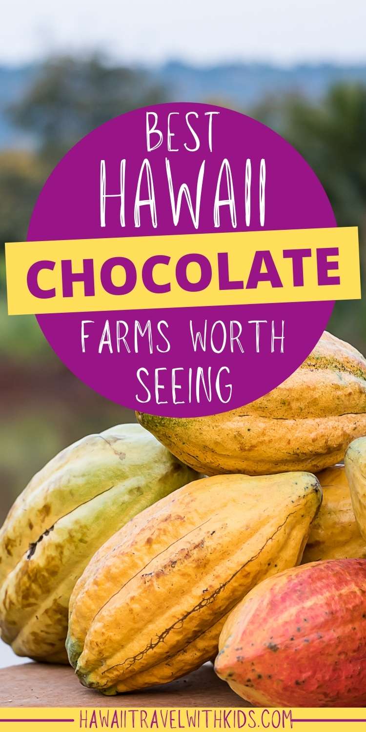 13 Best Hawaii Chocolate Farm Experiences for Hawaii with Kids