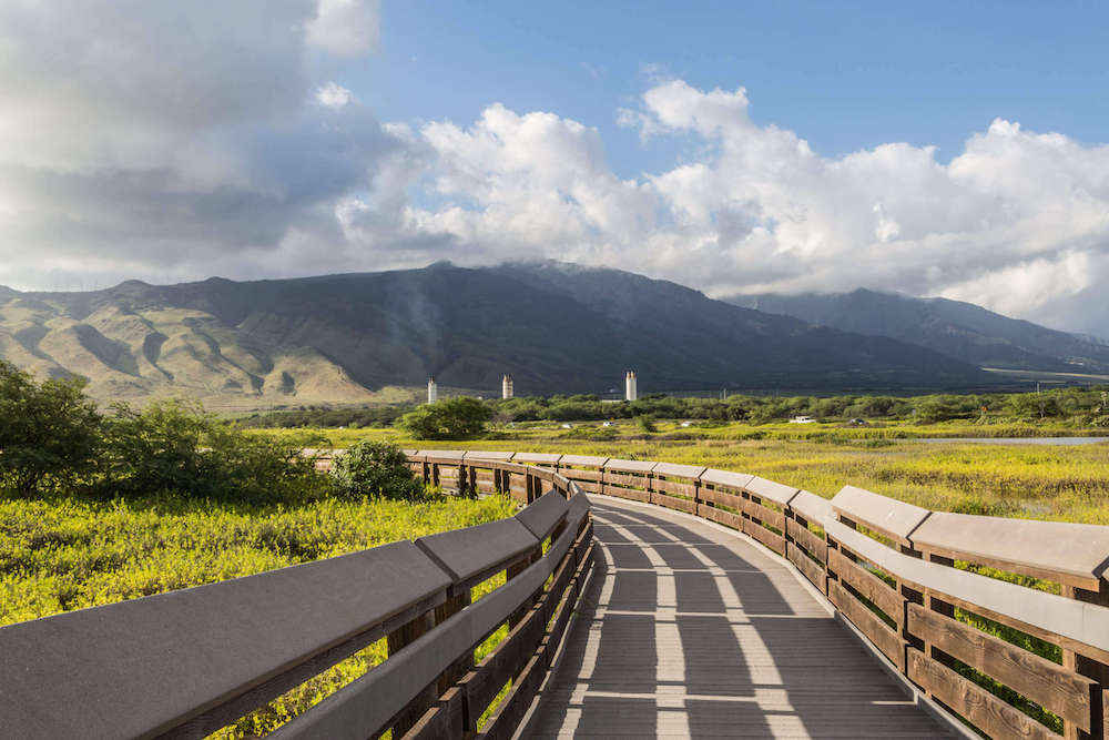 One of the coolest Kihei things to do is go for a walk along the Kealia Pond National Wildlife Refuge. Image of a boardwalk path on Maui with mountains in the background.