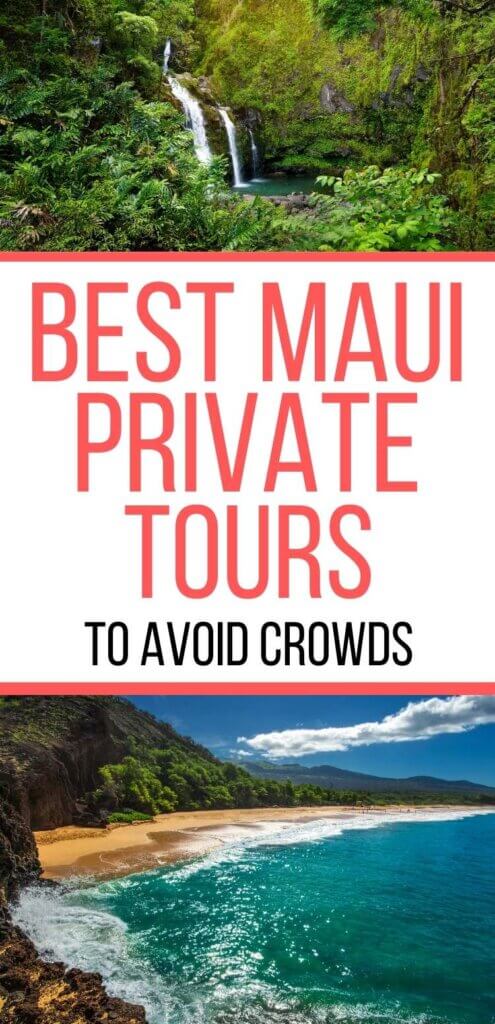 private tour companies maui