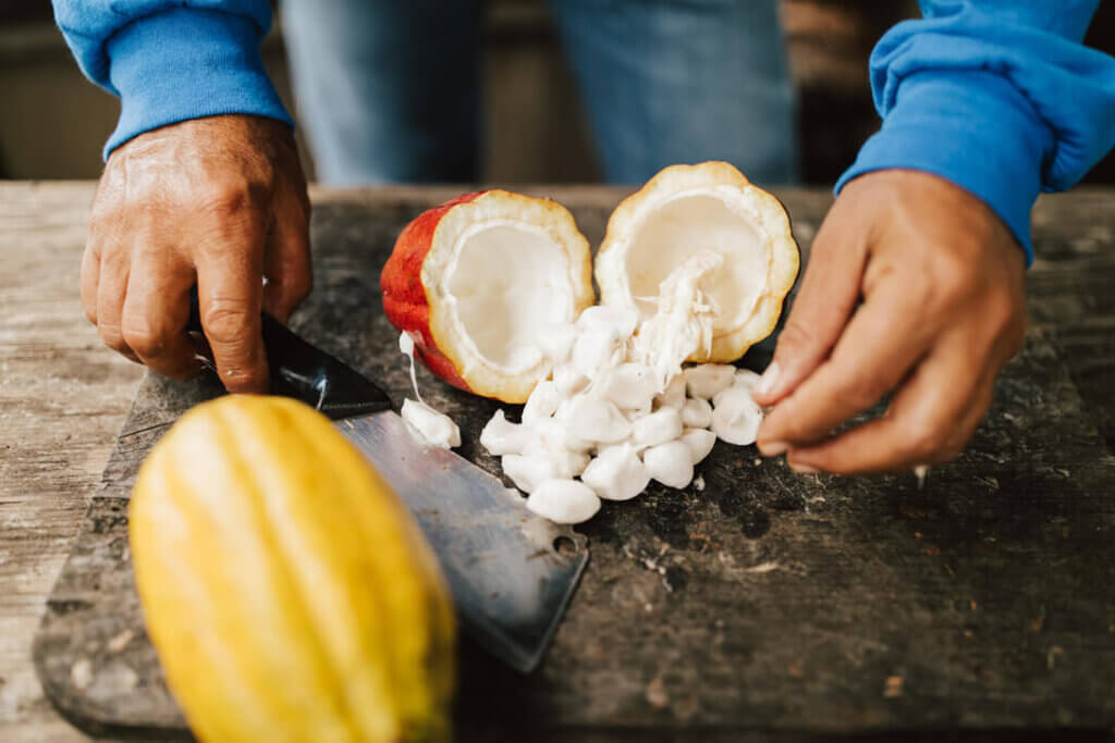 Image of a cut open cocoa pod. Photo credit: Hawaii Tourism Authority (HTA) / Heather Goodman 