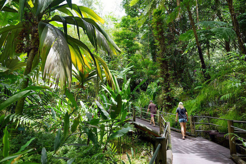 You'll definitely want to explore the Hawaii Tropical Botanical Garden on the Big Island. Image of two people walking on a boardwalk path in a Hawaii botanical garden.