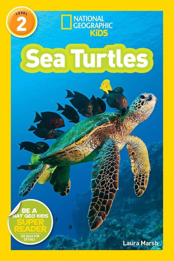 Learn more cool sea turtle facts for kids with this Nat Geo Kids book about sea turtles.