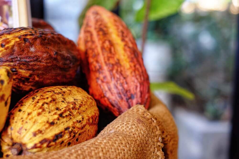 Check out Lydgate Farms, Kauai's best chocolate farm. Image of a pile of ripe cocoa pods in a burlap bag.