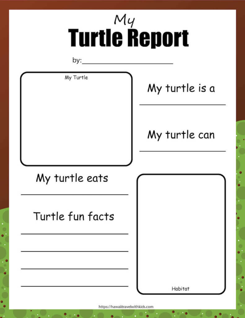 Get this free sea turtle report printable by top Hawaii blog Hawaii Travel with Kids. Image of an empty reporting worksheet where kids draw a picture and write about sea turtles.