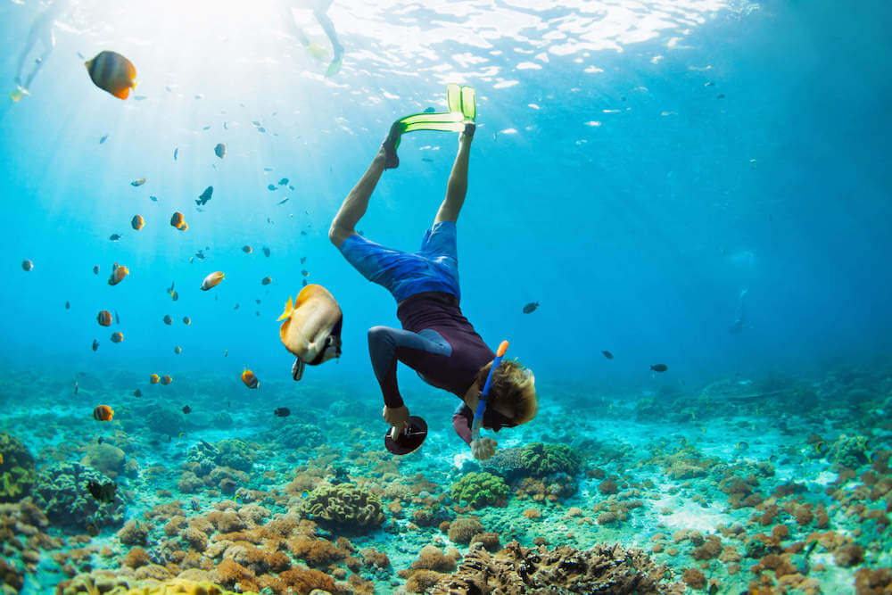 Image of someone snorkeling in Hawaii upside down