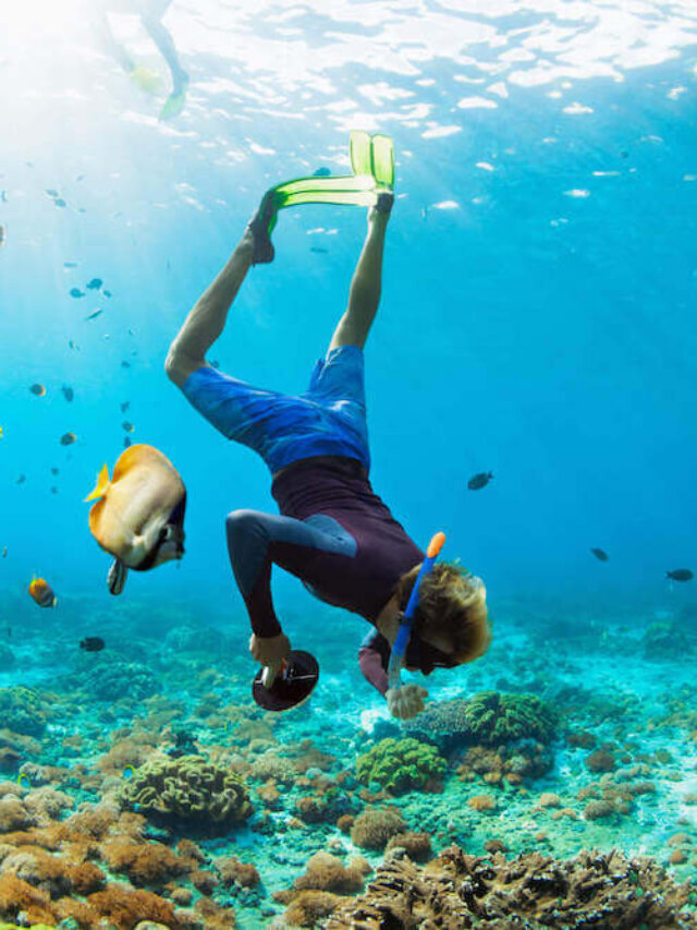Snorkeling on Kauai Web Story