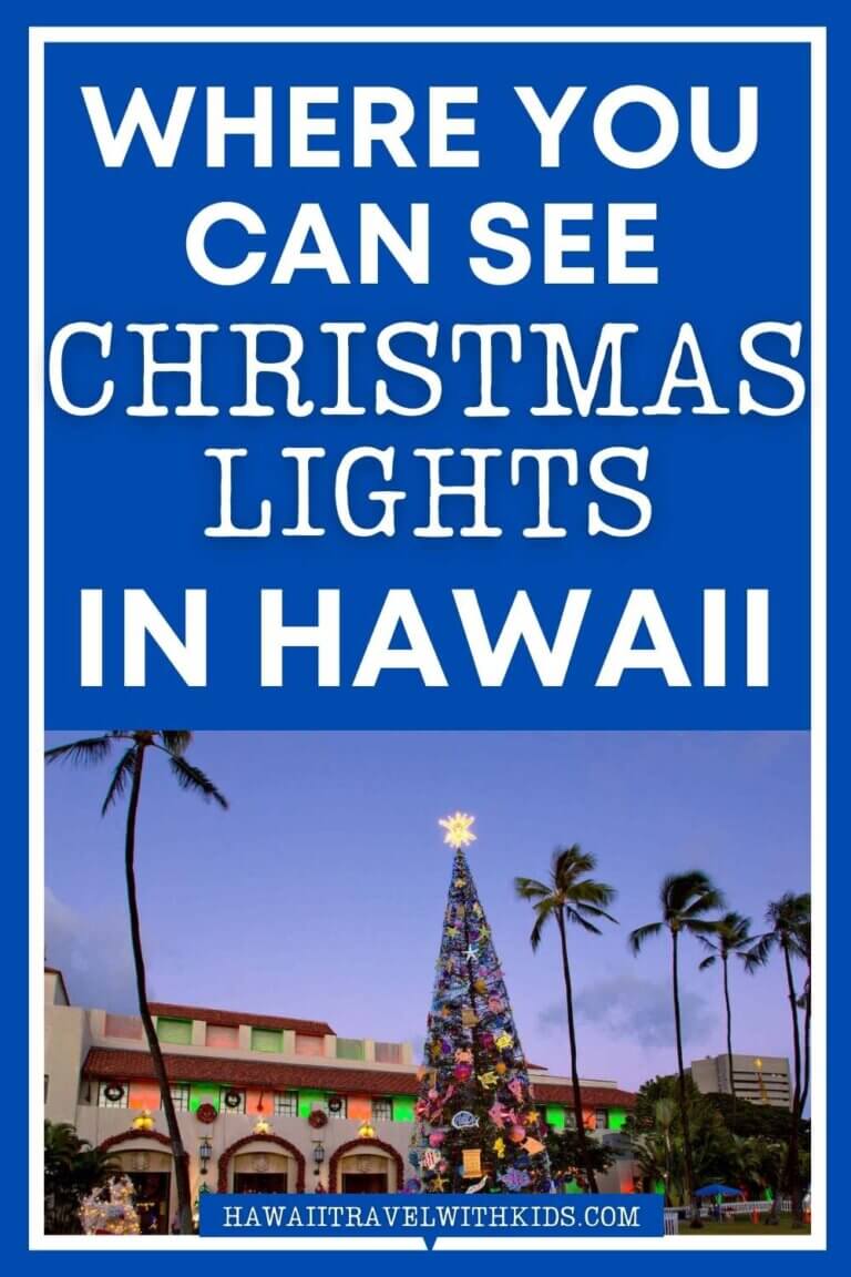Where to See Christmas Lights in Hawaii (2023)