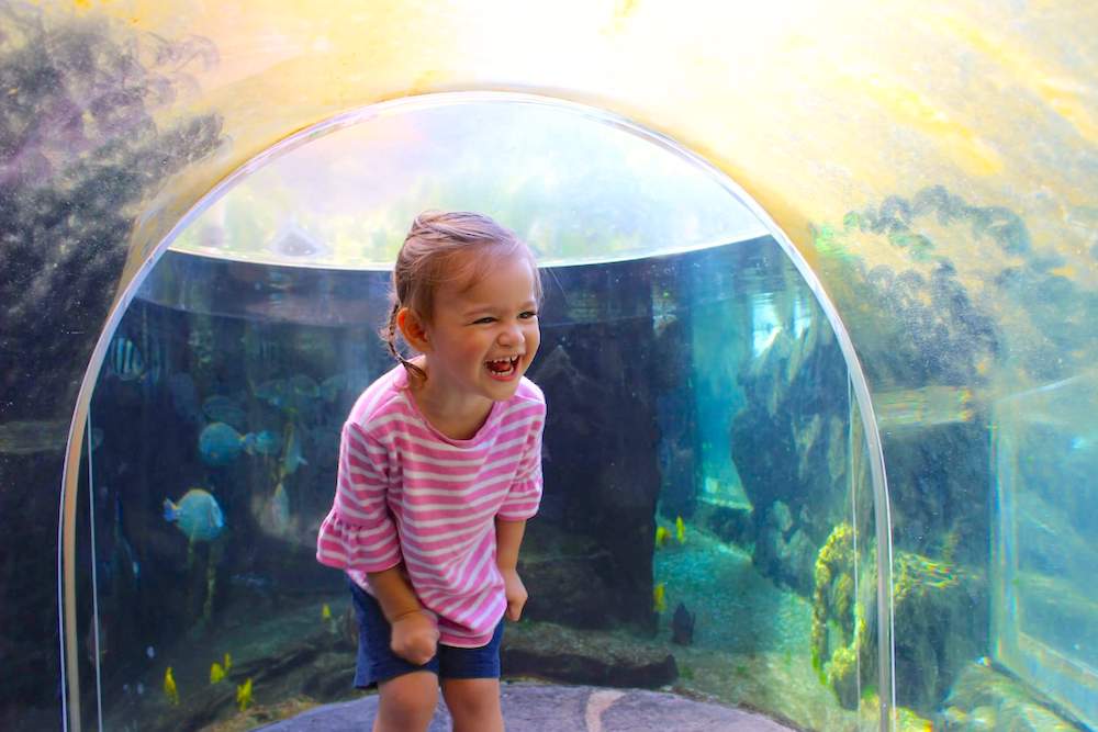 Sea Life Park is one of the best things to do on Oahu with toddlers. Image of a girl standing inside an aquarium exhibit.