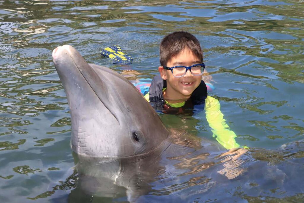 You can swim with dolphins in Hawaii at Dolphin Quest. Image of a boy wearing glasses posing with a dolphin.