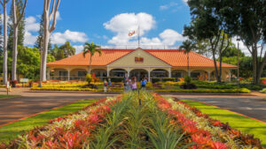 Is Dole Pineapple Plantation In Hawaii A Tourist Trap?