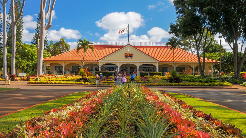 One of the best places to buy souvenirs on Oahu is the Dole Plantation gift shop. Image of the entrance to Dole Plantation on Oahu.