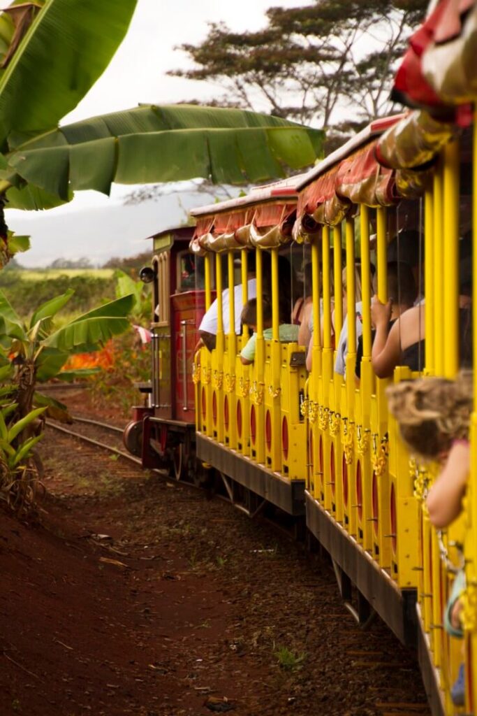 Image of a yellow and red train running through a pineapple plantation in Hawaii.
