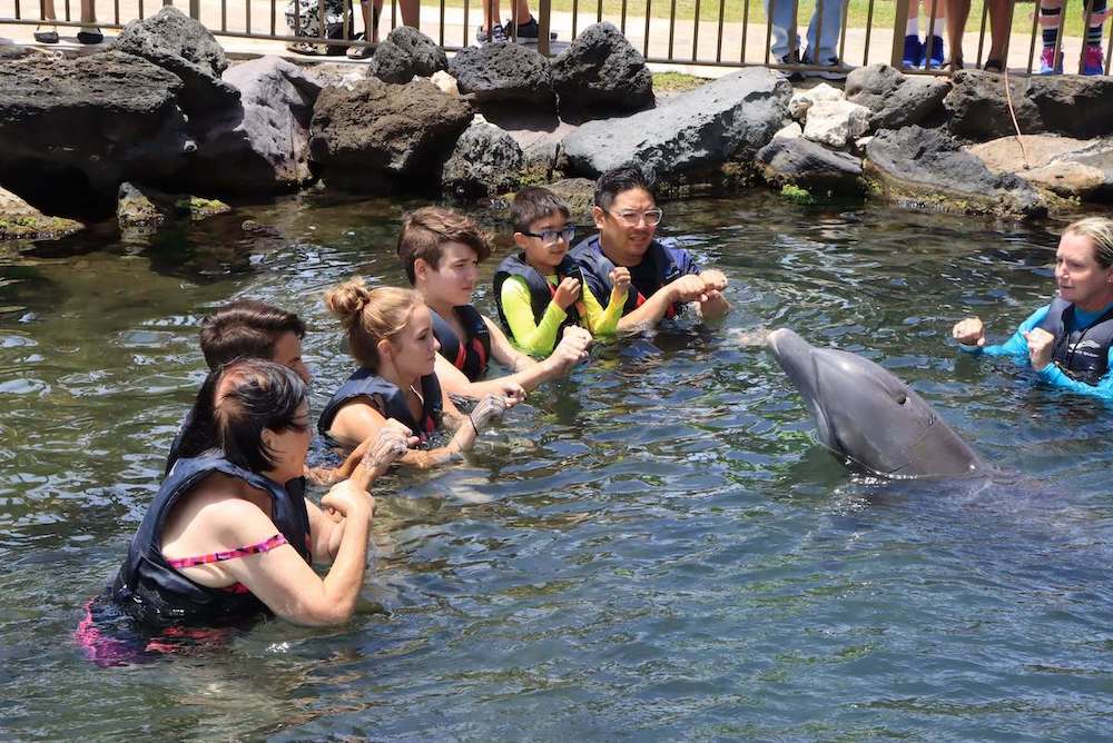 Part of this Oahu dolphin experience is learning hand signals to communicate with the dolphins. Image of a group putting their fists together to talk to a dolphin.