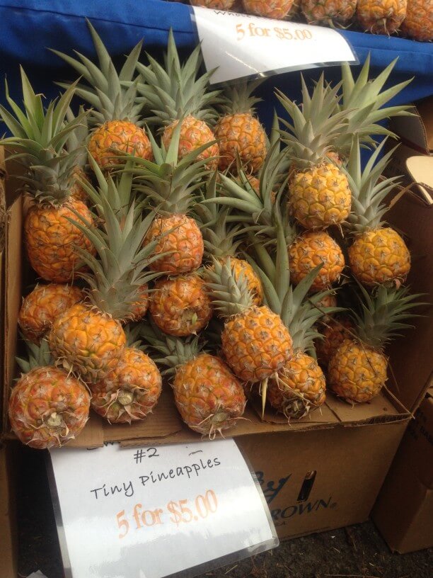 You can find all kinds of tropical fruit at farmers markets on Oahu. Image of tiny pineapples at the Honolulu farmers market in Oahu.