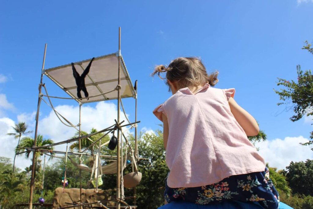 Check out this guide to the Honolulu Zoo with kids. Image of a girl looking at the orangutan exhibit at the Honolulu Zoo in Hawaii.