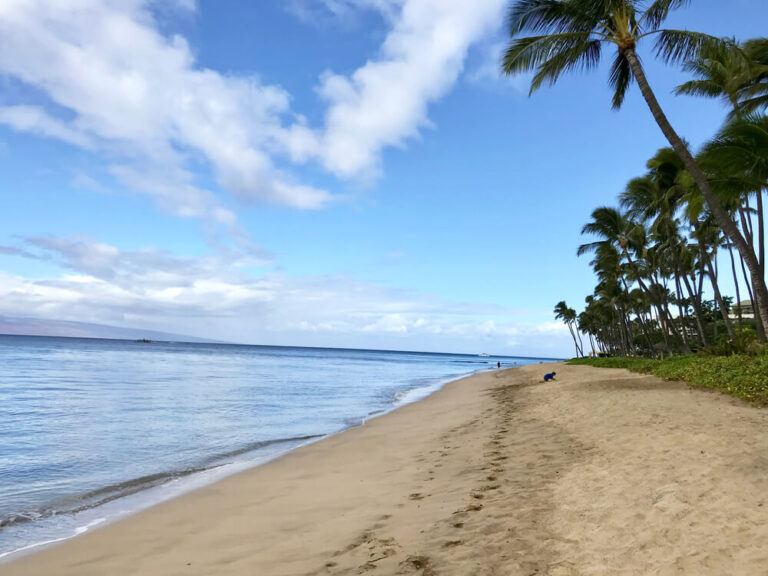 20 Things to do in Kaanapali, Maui (2023)