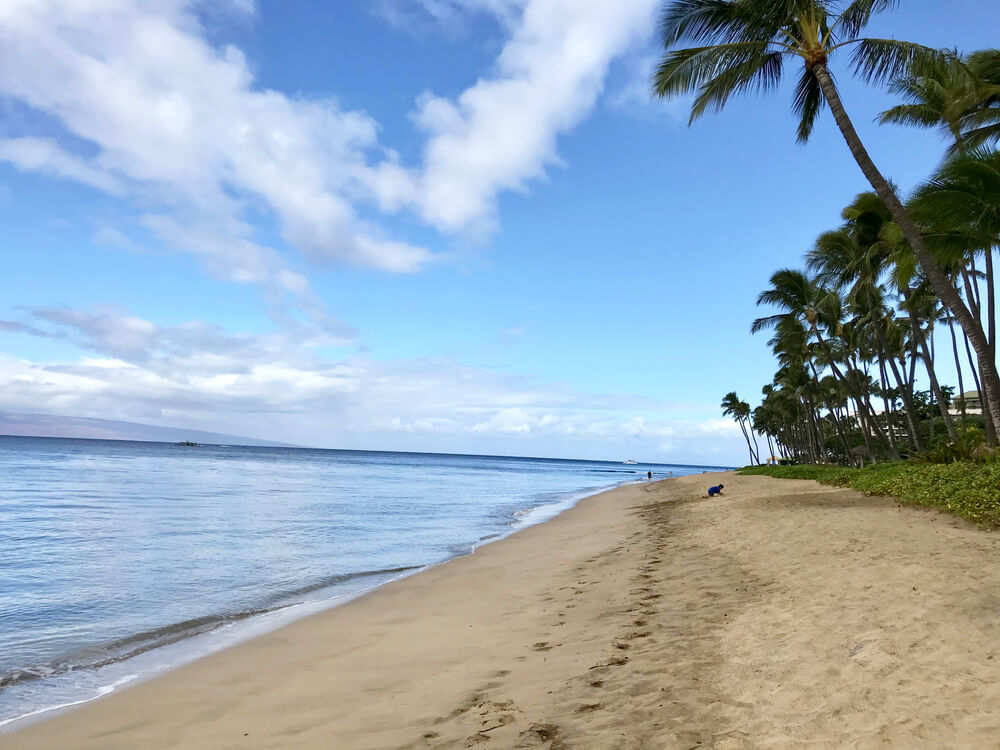 Image of Kaanapali Beach with palm tress on Maui