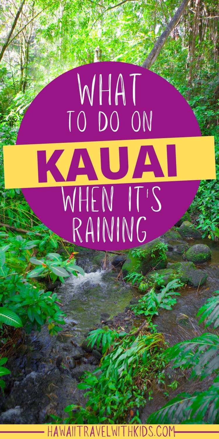 7 Awesome Things to do in Kauai When it Rains