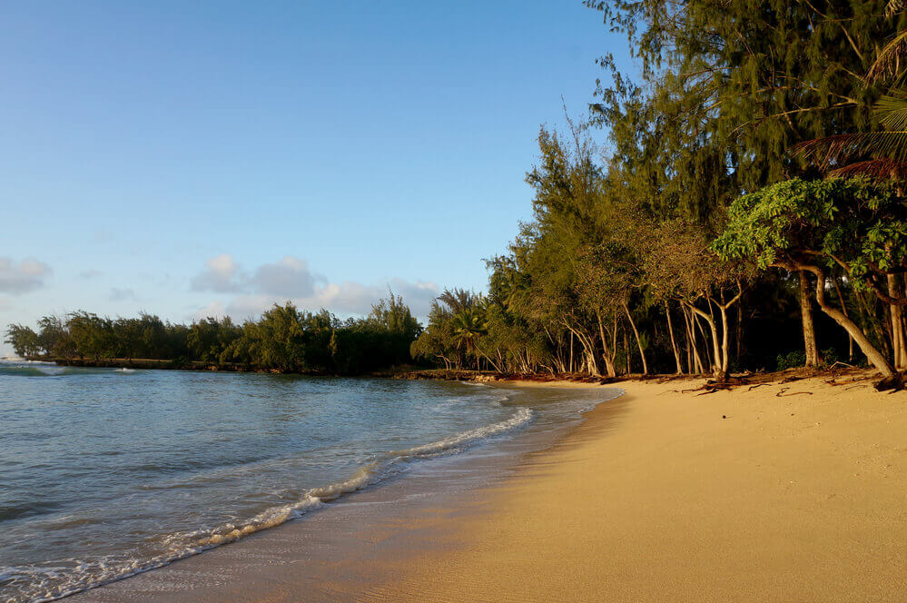 Image of a golden sandy beach at dusk